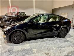 تسلا موديل Y